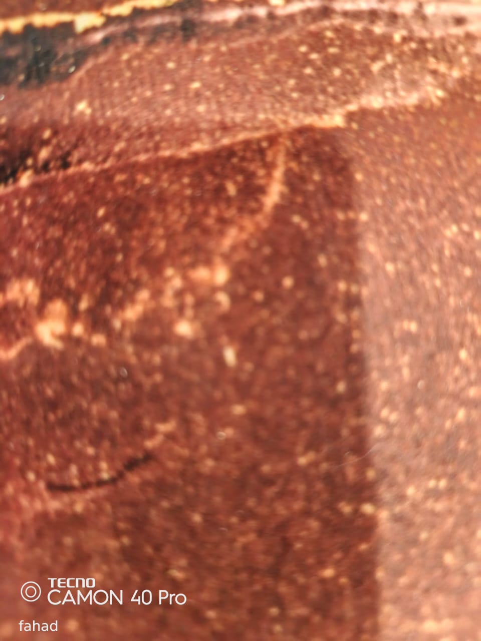 Plain Classic Naan Khatai